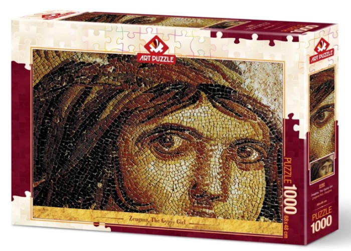ART PUZZLE Пазл Циганка, 1000 ел. (5192)