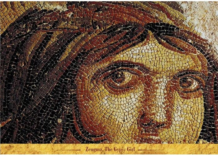 ART PUZZLE Пазл Циганка, 1000 ел. (5192)