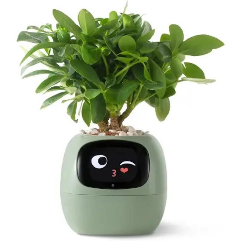 Інтерактивний розумний горщик для рослин Ivy Smart Planter Tuya AI, Green (ISPTAG)